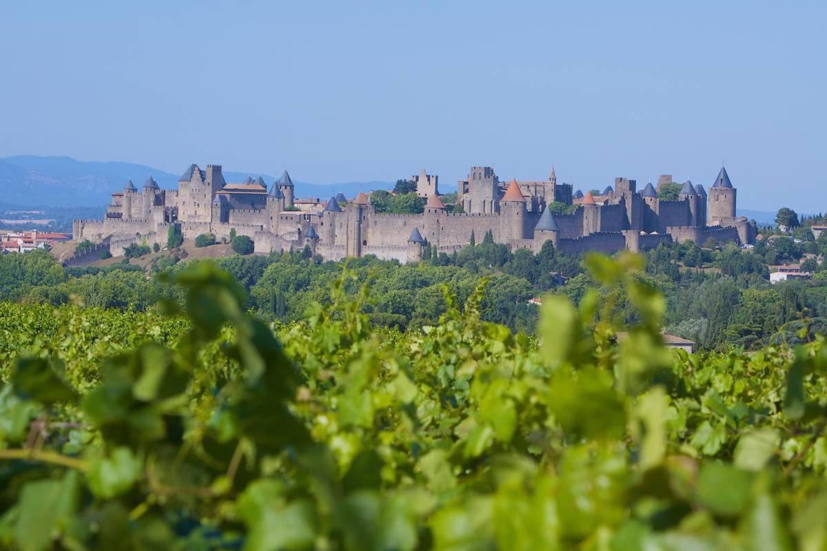 Tout Confort ! Climatisation, Centre-Ville, Parking, Terrasse, Wifi, Netflix Carcassonne Luaran gambar
