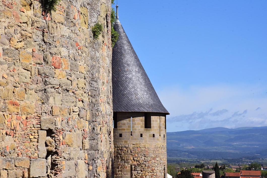 Tout Confort ! Climatisation, Centre-Ville, Parking, Terrasse, Wifi, Netflix Carcassonne Luaran gambar