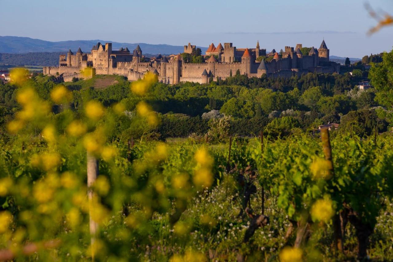Tout Confort ! Climatisation, Centre-Ville, Parking, Terrasse, Wifi, Netflix Carcassonne Luaran gambar